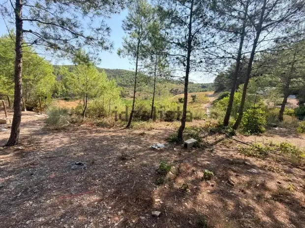 Finca Rústica en Exclusiva en Corbera D'ebre · foto 5