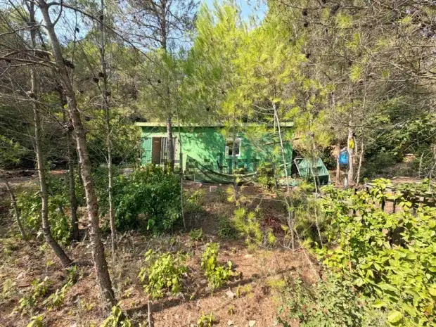 Finca Rústica en Exclusiva en Corbera D'ebre · foto 7