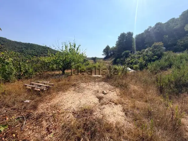 Finca Rústica en Exclusiva en Corbera D'ebre · foto 12