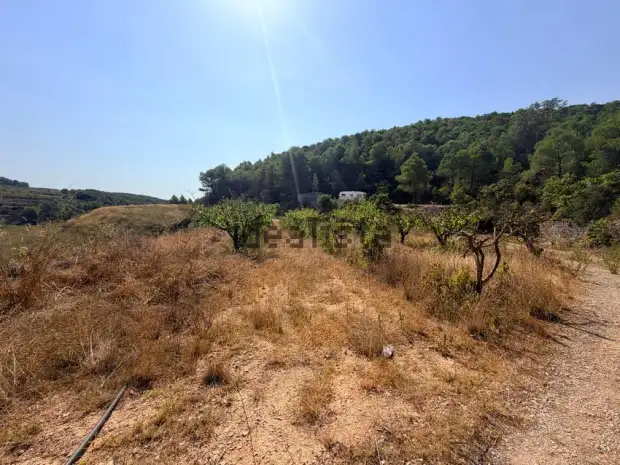 Finca Rústica en Exclusiva en Corbera D'ebre · foto 14