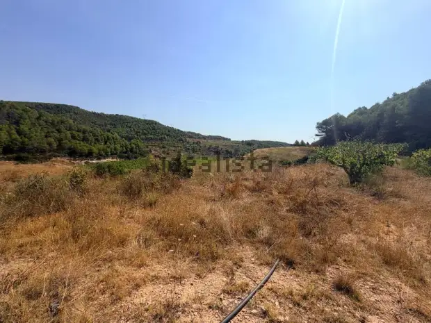 Finca Rústica en Exclusiva en Corbera D'ebre · foto 15