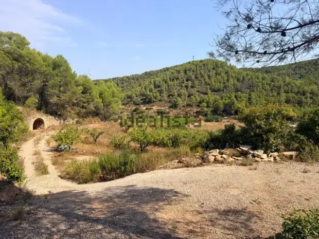 Finca Rústica en Exclusiva en Corbera D'ebre · foto 17
